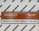 Сигареты Modest Cigar Tobacco Nano Микс 